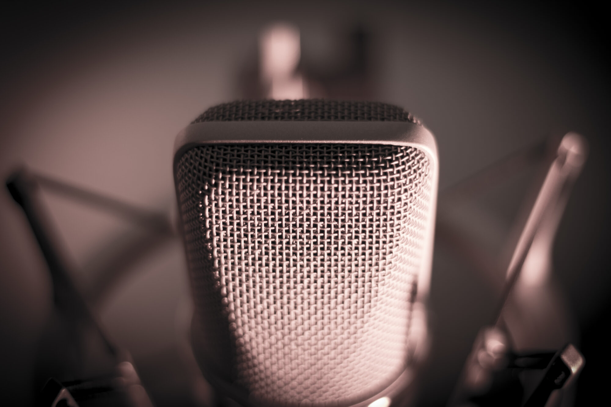 Speakeraggio Voice over Roma
